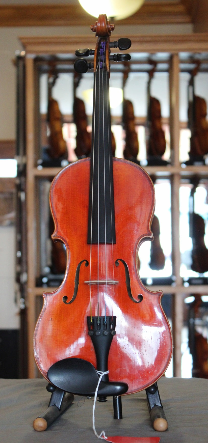 Violin Labelled Antonio Curatoli