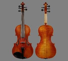 Load image into Gallery viewer, KRUTZ 800 Avant 5-Star Fiddle