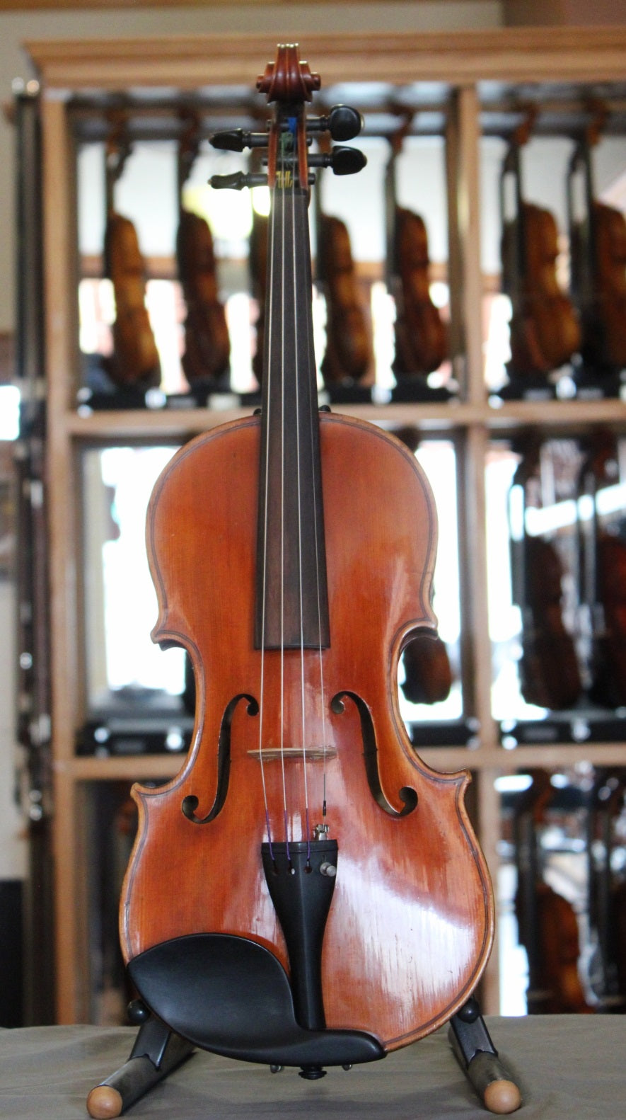 Giovanni Cavani Violin - 1919