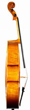 Load image into Gallery viewer, KRUTZ Avant - Series 850 Cellos
